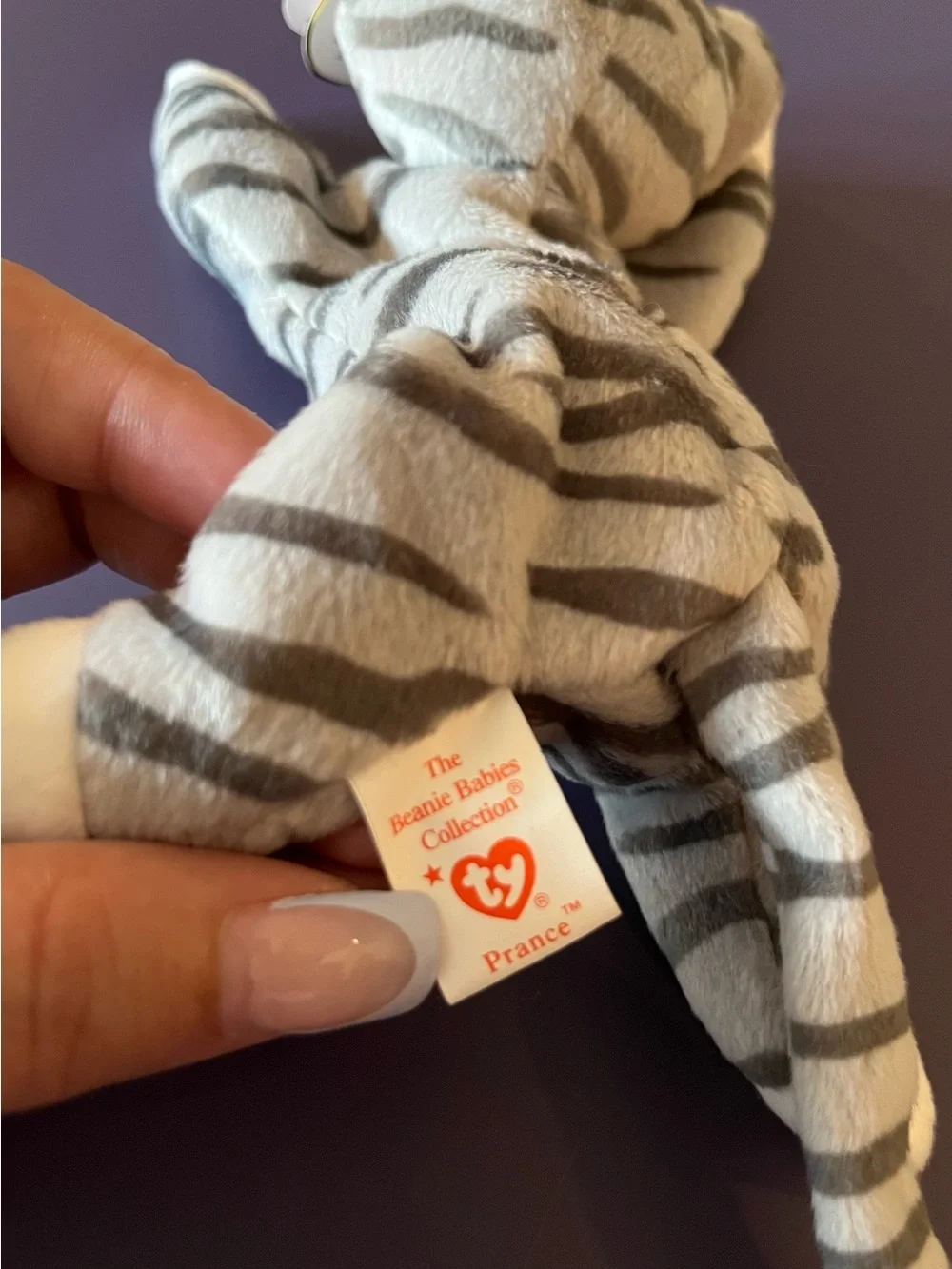 Prance the Kitty Beanie Baby